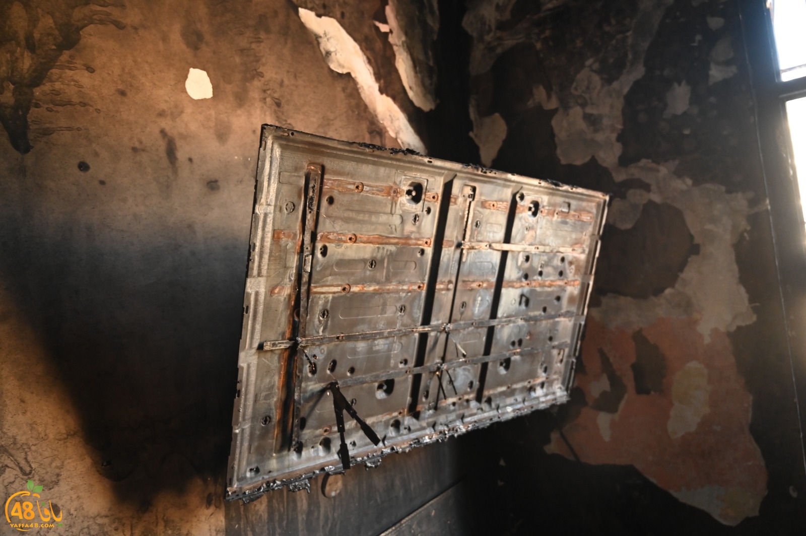 WhatsApp Image 2023-08-03 at 6.57.10 PM (3).jpg